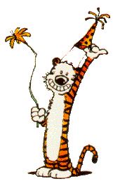 [Hobbes In
A Party Hat Pic]